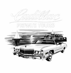 chatgpt image 2026. febr. 28. 12 22 43 removebg preview